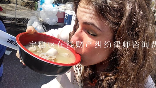 宝山区在线财产纠纷律师咨询费 宝山区在线财产纠纷律师咨询费