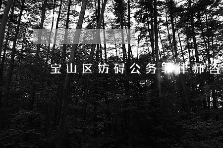 宝山区妨碍公务罪律师咨询电话
