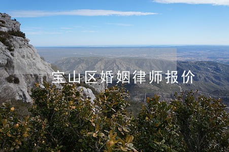 宝山区婚姻律师报价 宝山区婚姻律师报价