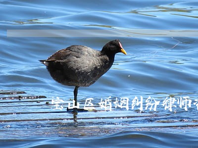 宝山区婚姻纠纷律师咨询费用 宝山区婚姻纠纷律师咨询费用