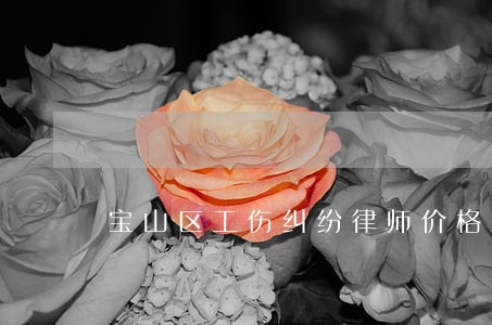 宝山区工伤纠纷律师价格