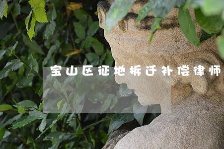 宝山区征地拆迁补偿律师联系方式 宝山区征地拆迁补偿律师联系方式
