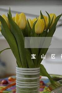 宝山区律师团队照服务 宝山区律师团队照服务