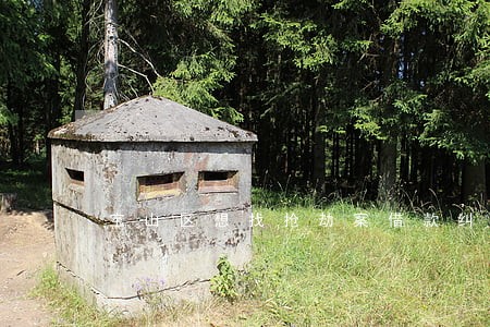 宝山区想找抢劫案借款纠纷律师 宝山区想找抢劫案借款纠纷律师