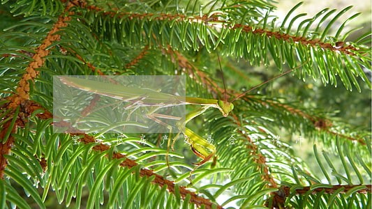 宝山区房产交易合同律师 宝山区房产交易合同律师