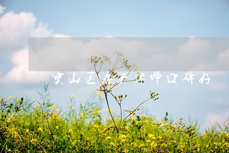 宝山区房产律师口碑好 宝山区房产律师口碑好