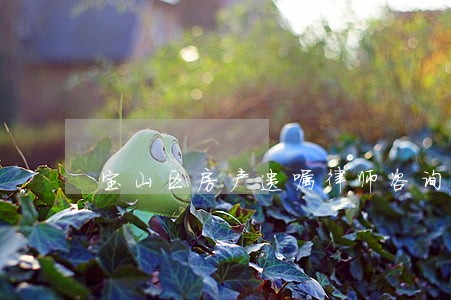 宝山区房产遗嘱律师咨询电话 宝山区房产遗嘱律师咨询电话