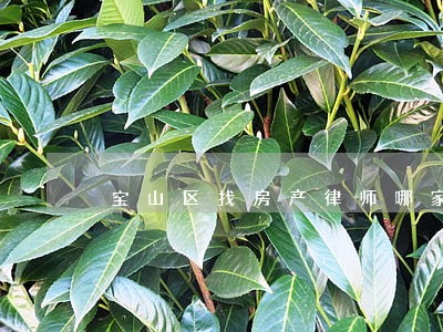 宝山区找房产律师哪家好 宝山区找房产律师哪家好