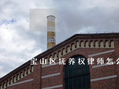 宝山区抚养权律师怎么收费 宝山区抚养权律师怎么收费