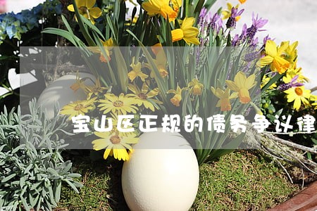 宝山区正规的债务争议律师 宝山区正规的债务争议律师