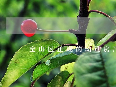 宝山区正规的动迁房产律师 宝山区正规的动迁房产律师