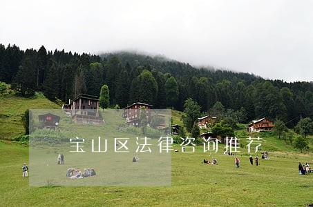 宝山区法律咨询推荐 宝山区法律咨询推荐