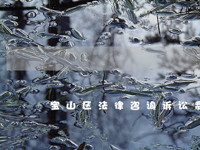 宝山区法律咨询诉讼费 宝山区法律咨询诉讼费