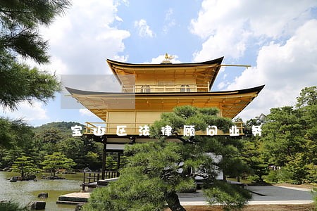 宝山区法律顾问业务 宝山区法律顾问业务