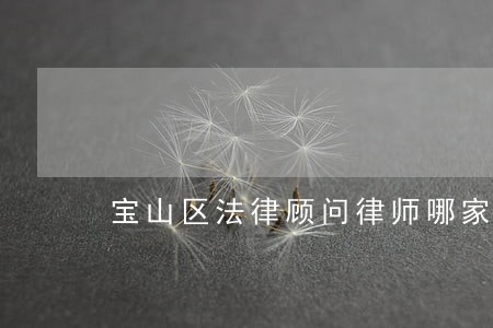 宝山区法律顾问律师哪家专业 宝山区法律顾问律师哪家专业