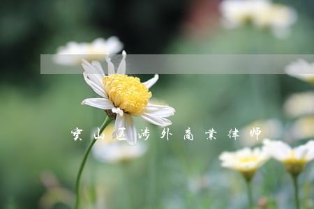宝山区涉外商业律师