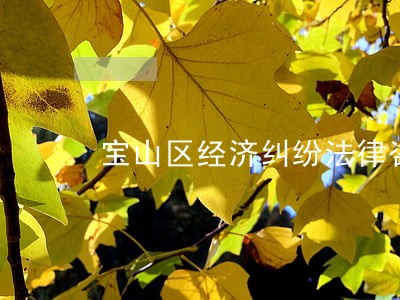 宝山区经济纠纷法律咨询 宝山区经济纠纷法律咨询