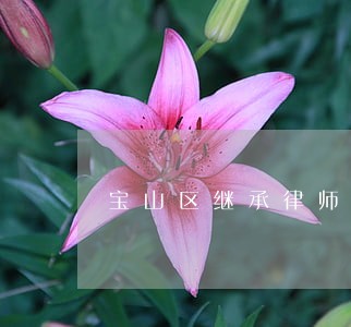 宝山区继承律师哪个好 宝山区继承律师哪个好