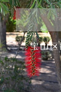 宝山区融资纠纷律师 宝山区融资纠纷律师