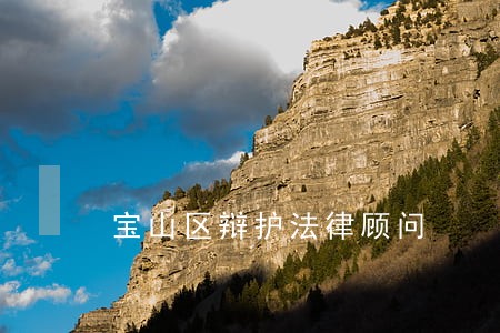 宝山区辩护法律顾问 宝山区辩护法律顾问