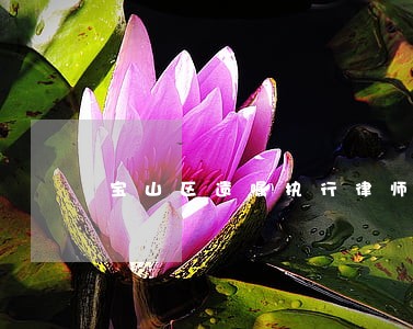 宝山区遗嘱执行律师收费