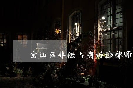 宝山区非法占有诉讼律师 宝山区非法占有诉讼律师