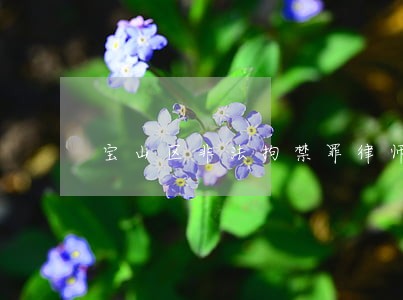 宝山区非法拘禁罪律师电话 宝山区非法拘禁罪律师电话
