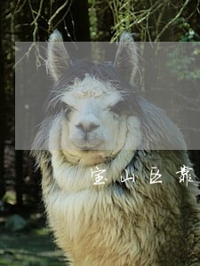 宝山区靠谱法律顾问收费标准 宝山区靠谱法律顾问收费标准