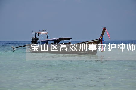 宝山区高效刑事辩护律师收费 宝山区高效刑事辩护律师收费