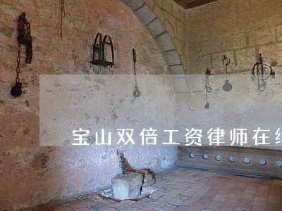 宝山双倍工资律师在线咨询 宝山双倍工资律师在线咨询