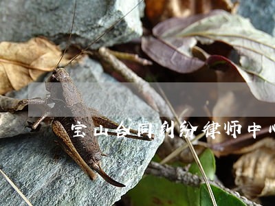 宝山合同纠纷律师中心 宝山合同纠纷律师中心