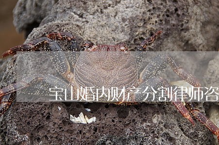 宝山婚内财产分割律师咨询电话 宝山婚内财产分割律师咨询电话