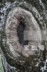 宝山婚姻家庭财产律师 宝山婚姻家庭财产律师