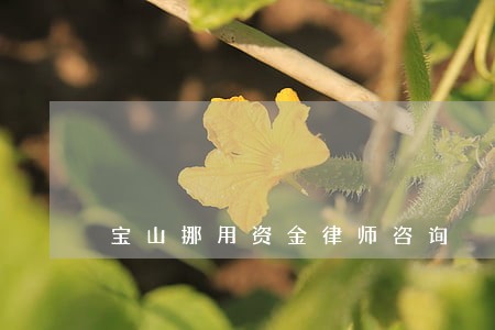 宝山挪用资金律师咨询 宝山挪用资金律师咨询