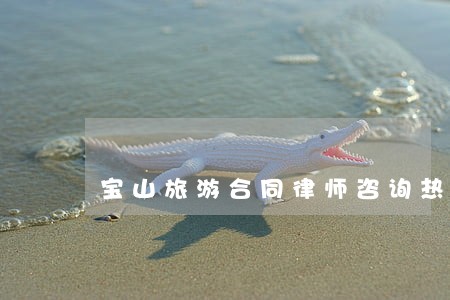 宝山旅游合同律师咨询热线 宝山旅游合同律师咨询热线
