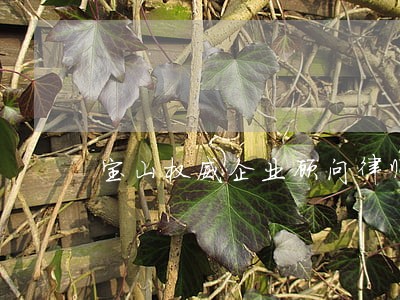 宝山权威企业顾问律师费用 宝山权威企业顾问律师费用