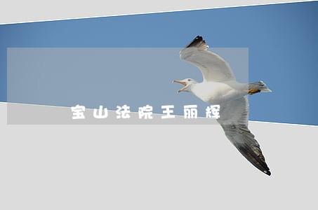 宝山法院王丽辉