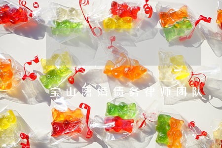 宝山离婚债务律师团队 宝山离婚债务律师团队