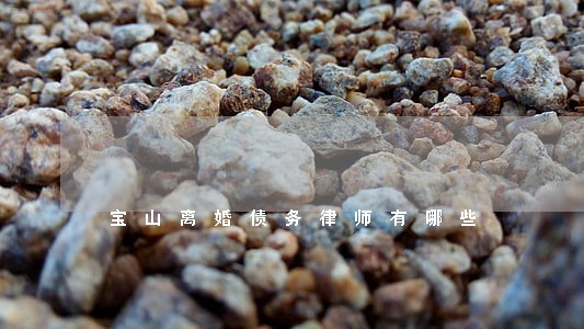 宝山离婚债务律师有哪些 宝山离婚债务律师有哪些