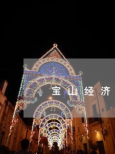 宝山经济债务律师 宝山经济债务律师