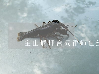 宝山质押合同律师在线 宝山质押合同律师在线