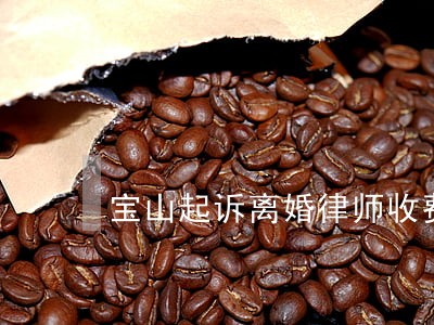 宝山起诉离婚律师收费 宝山起诉离婚律师收费