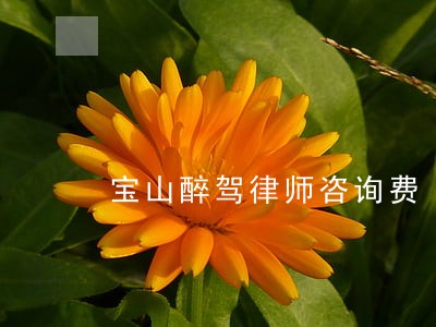 宝山醉驾律师咨询费 宝山醉驾律师咨询费