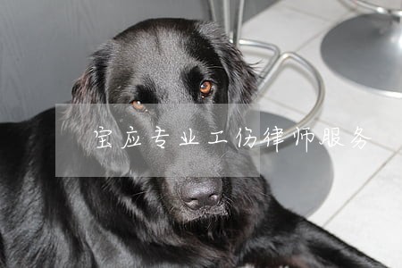 宝应专业工伤律师服务 宝应专业工伤律师服务