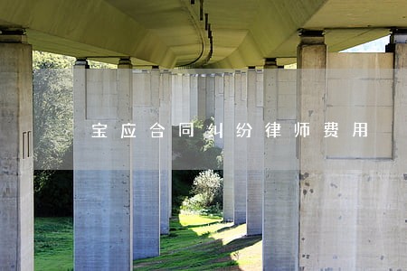 宝应合同纠纷律师费用 宝应合同纠纷律师费用