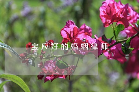 宝应好的婚姻律师