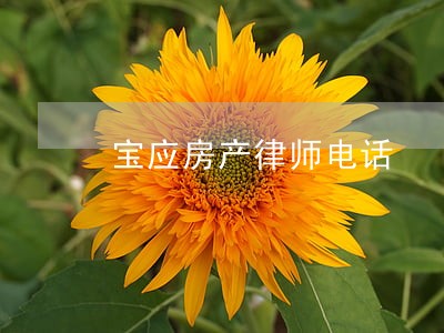 宝应房产律师电话