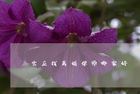 宝应找离婚律师哪家好 宝应找离婚律师哪家好