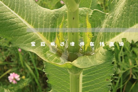 宝应拆迁律师在线咨询