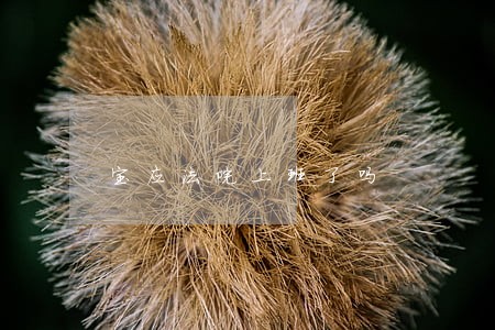 宝应法院上班了吗